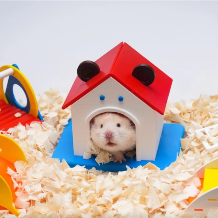 jouets pour hamsters fait avec les de filaments PETG Basic Bambu Lab