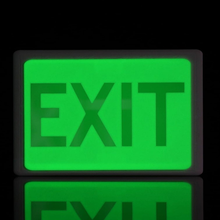 panneau exit fait avec les filaments PLA Glow Bambu Lab