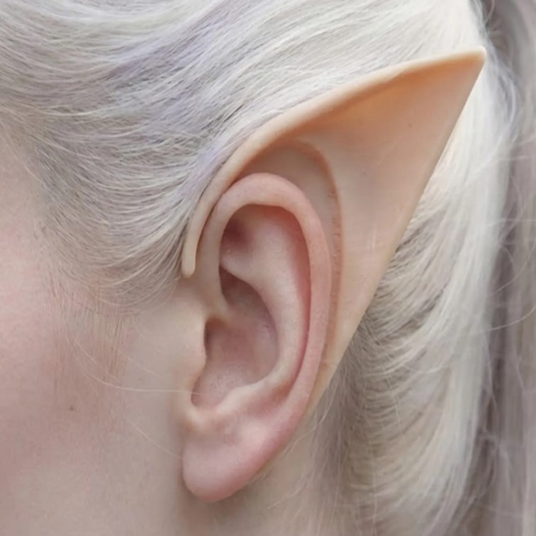 Oreilles d'elfe faits avec le filament TPU 90A