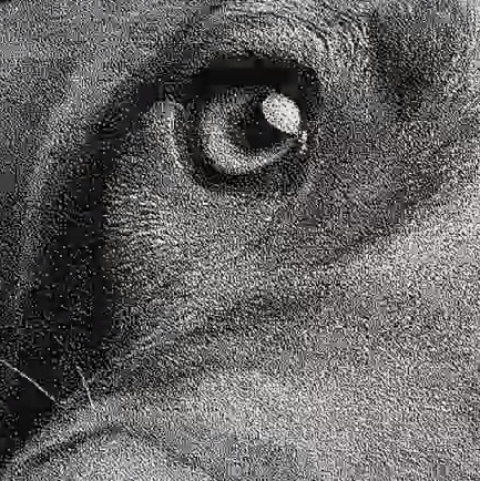 Gravure ultra précise en 16K avec Omni X