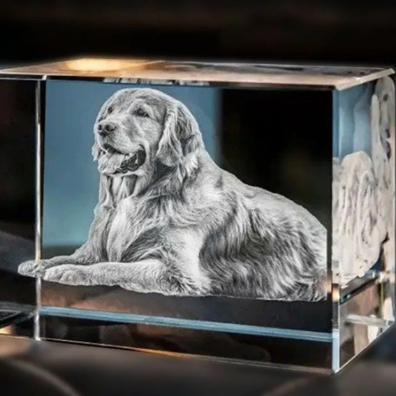 Verre gravé au laser avec Omni X