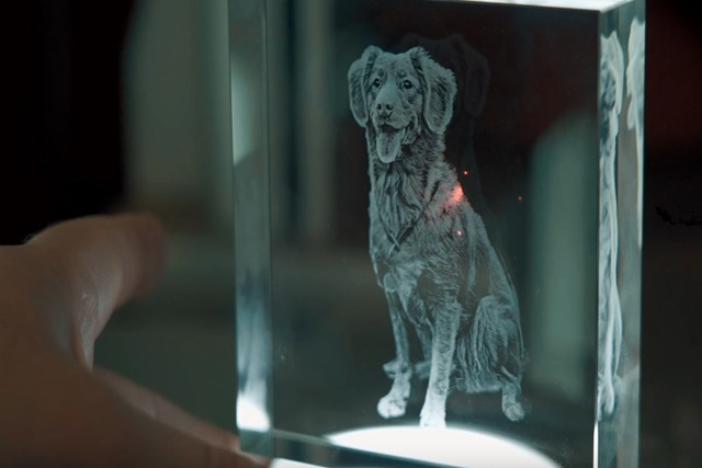 Gravure d'un chien dans du verre avec la FSL Muse UV Galvo 