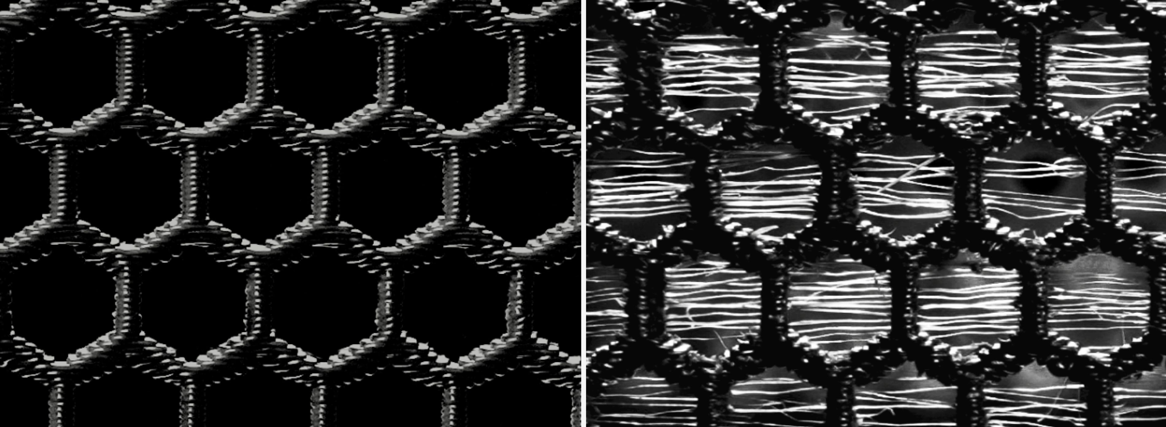 Différence entre l'utilisation de filament sec et humide avec l'AMS HT de Bambu Lab