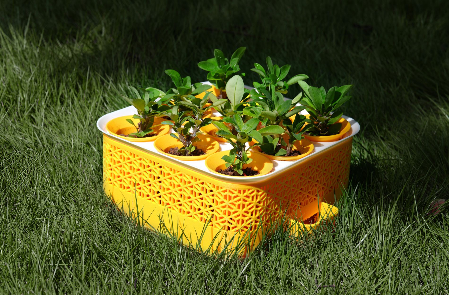 Bac à pot de fleurs imprimé en 3D avec la H2D de Bambu Lab Bac à pot de fleurs imprimé en 3D avec la H2D de Bambu Lab