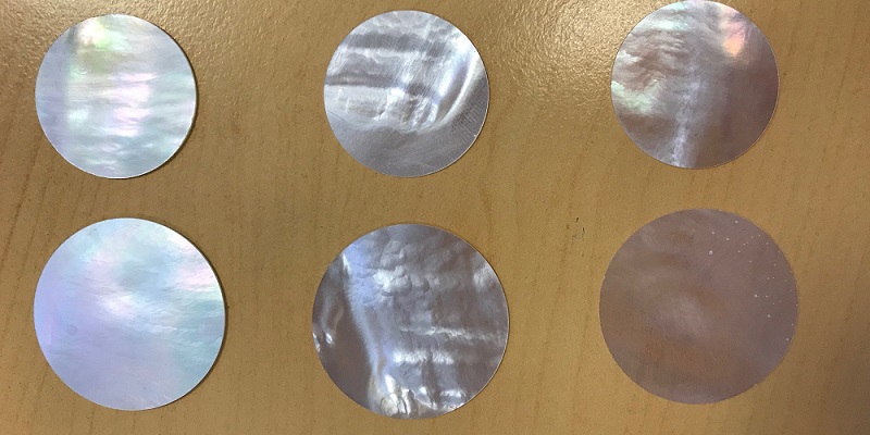 Découpe de disques de nacre